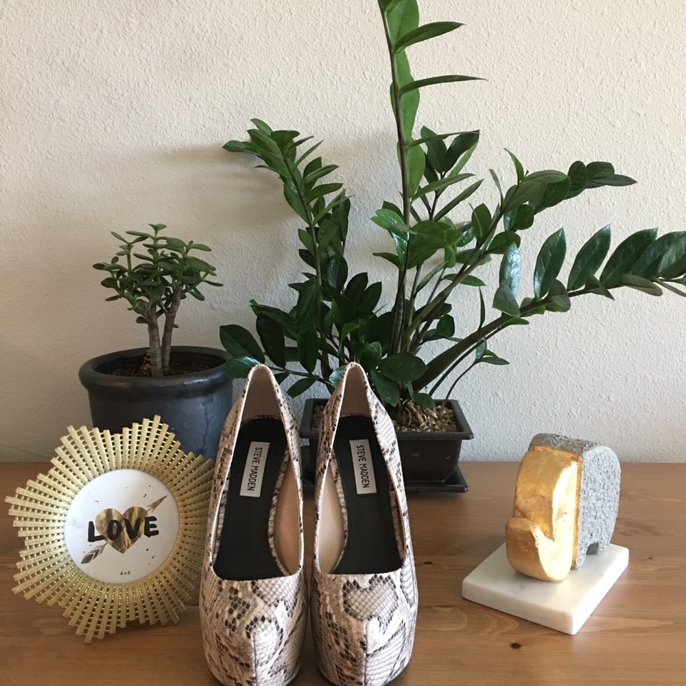 Steve Madden DEJAVU Natural Snake Heel 👠